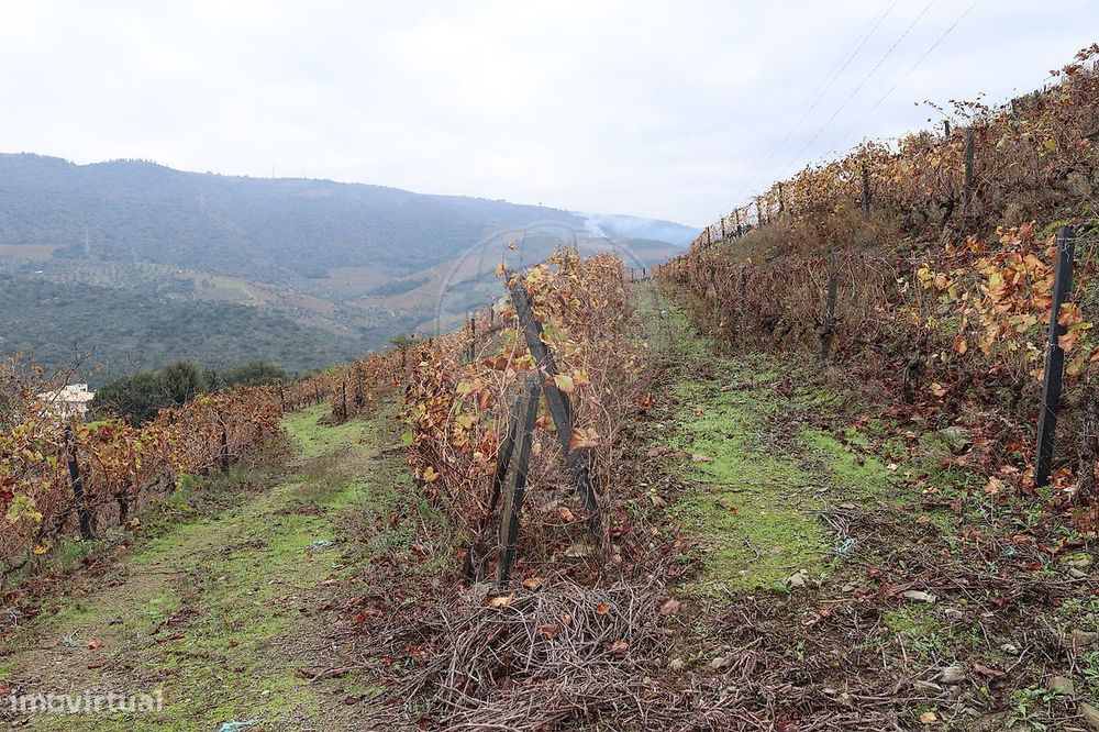 Terreno  para venda