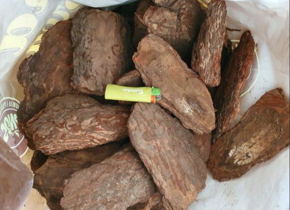 Kora sosnowa luzem kompostowana  borówka torf