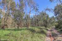 Terreno Rústico Ideal para actividade agrícola e florestal na Quinta d