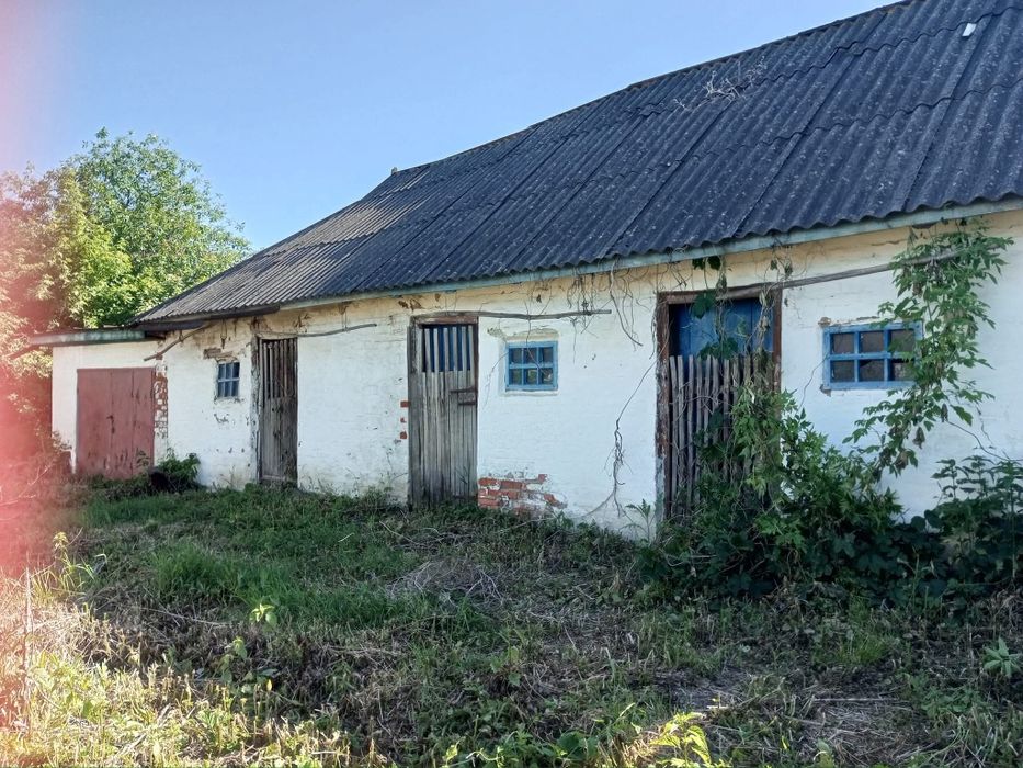 Продам будинок  в Селі