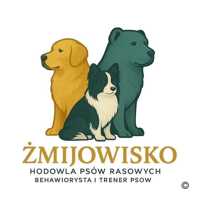 Psie przedszkole, Szkolenie psów-behawiorysta