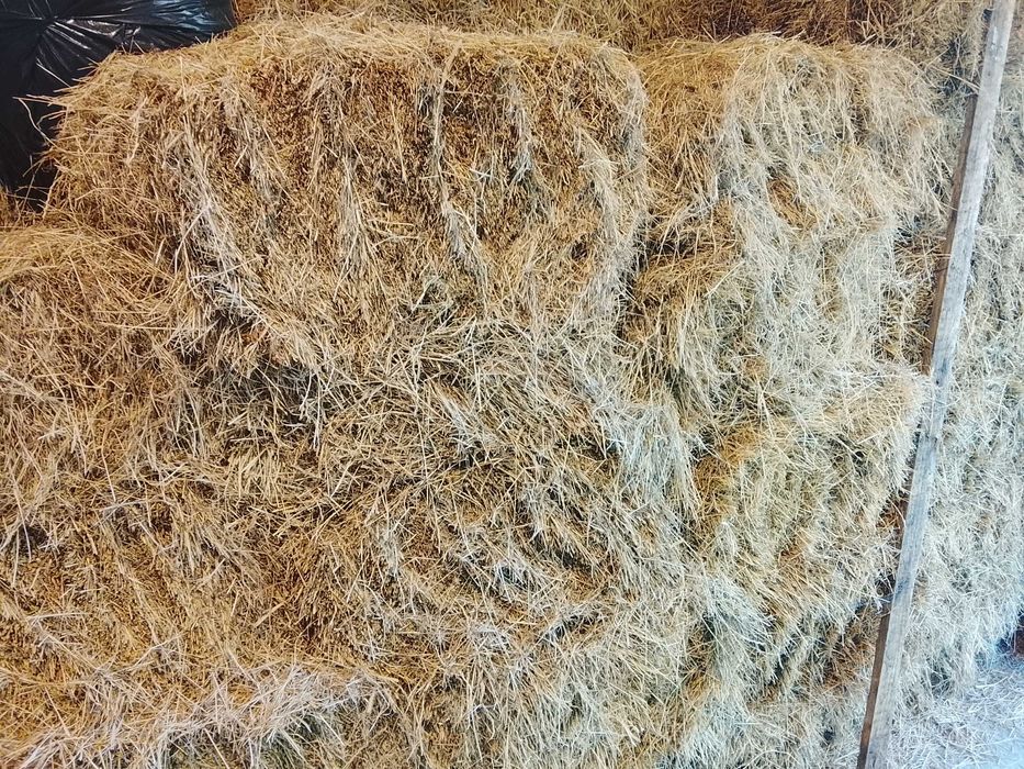 siano w kostkach 60 kostek transport