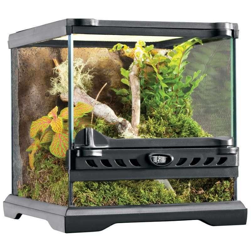 PROMO Exo Terra Terrário Nano Wide 20x20x20 NOVO