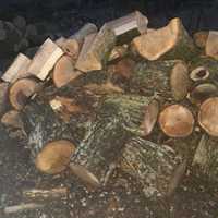 Продам дрова 1300 гр метр