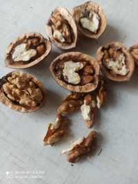 Грецкие орехи в скорлупе. 30 грн