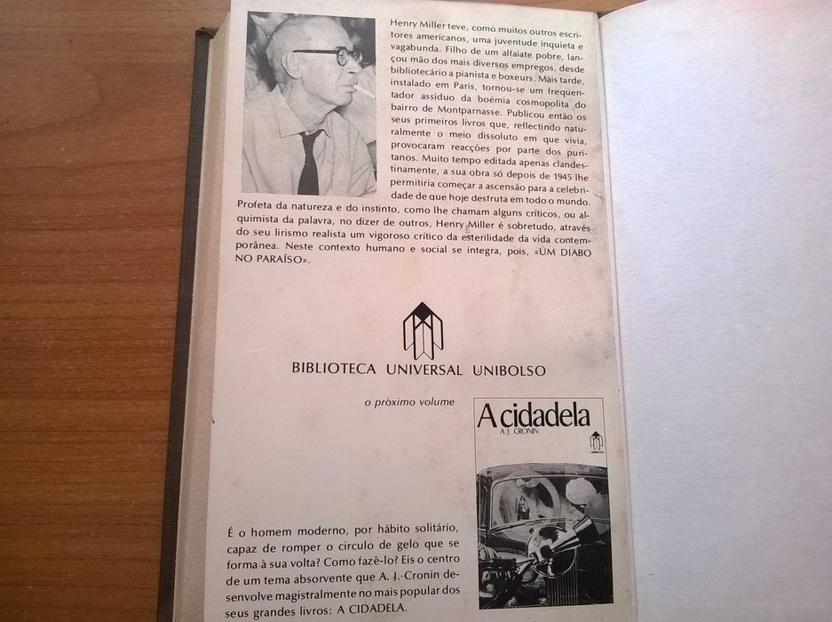 Um Diabo no Paraíso - Henry Miller