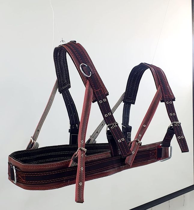 Шлея шорка Шора Европейского образца англичанка немка