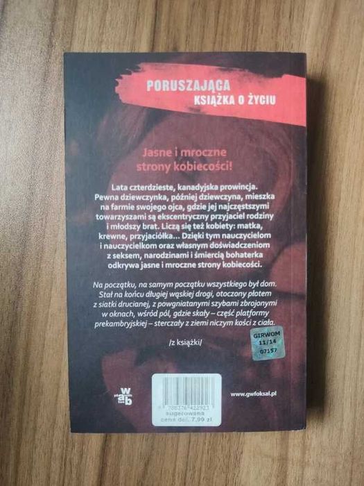 Książka "Dziewczęta i kobiety"