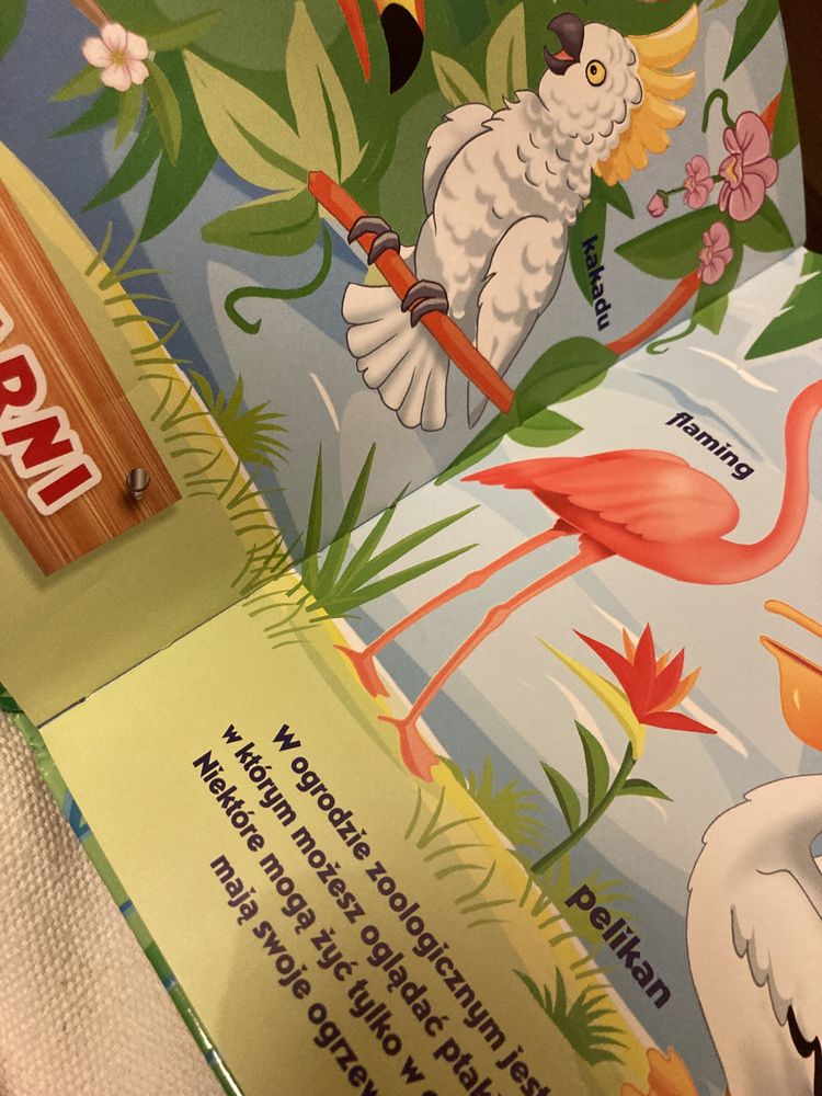 Wycieczka do zoo książka dla Dzieci