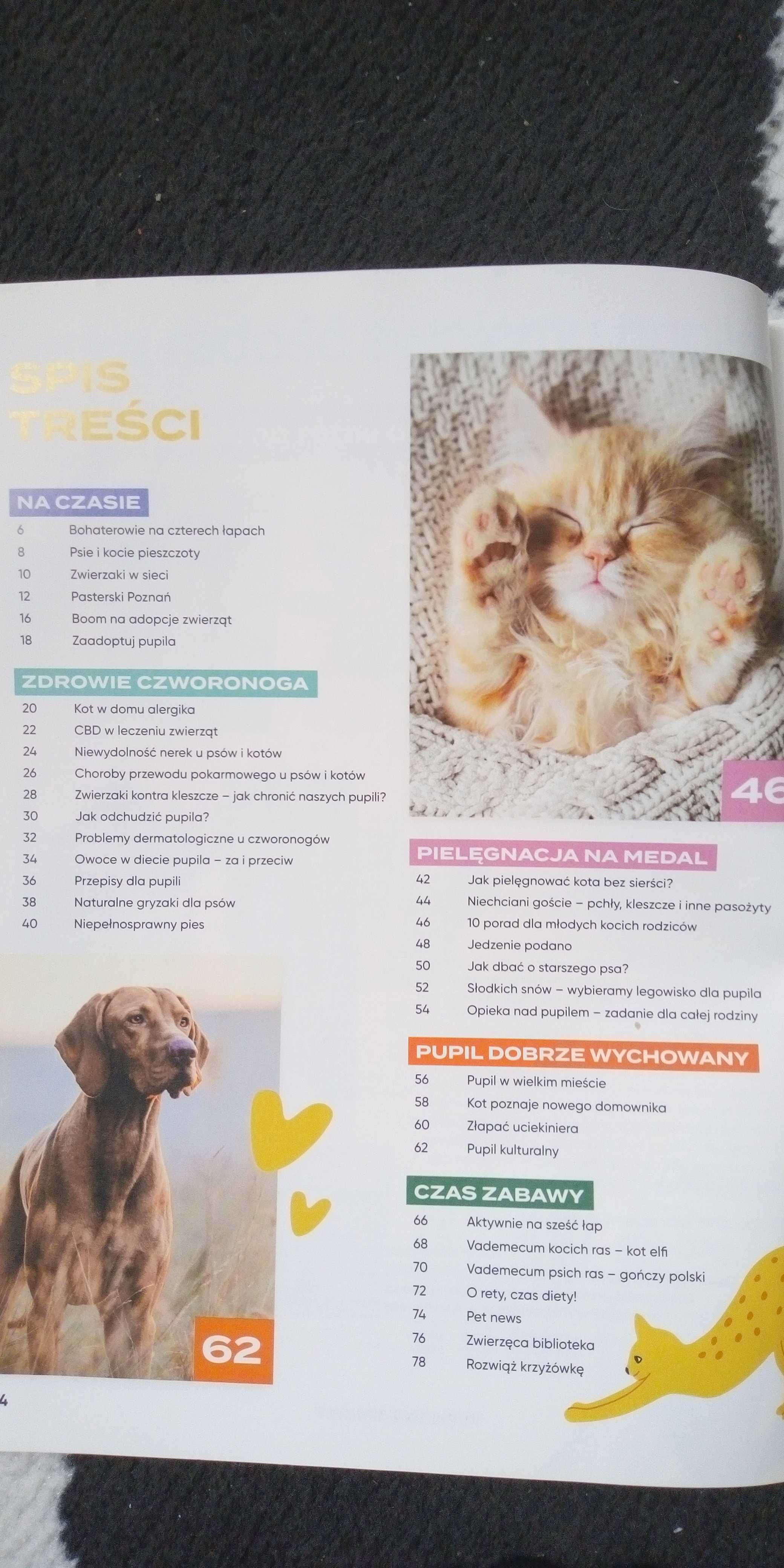 Pupilowe sprawy Magazyn miłośników psów i kotów od 2 nr do 7 nr