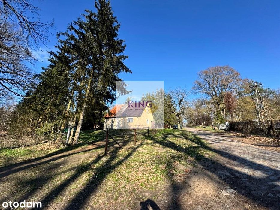 Dom nad jeziorem - pierwsza linia