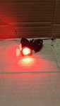 Lampka rowerowa tylna +kabel USB Fischer