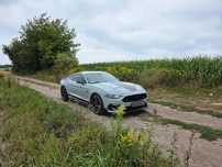 Ford Mustang Mach 1 - Fighter Jet Gray - VAT 23 %