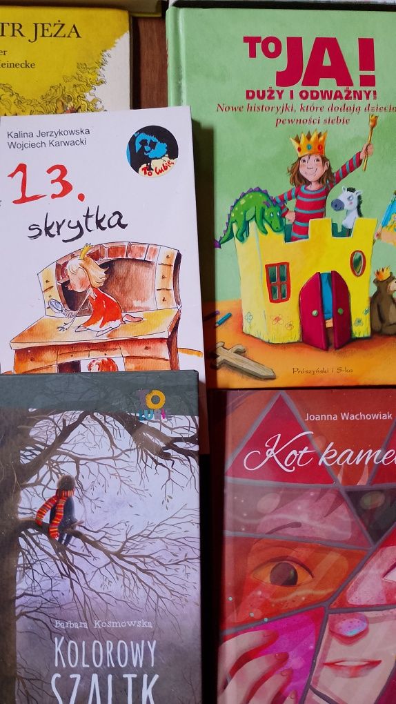 Zestaw książek dla dzieci