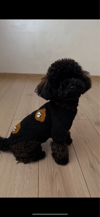 Вʼязаний светрик ручної роботи для цуцика