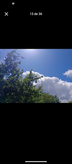 Casa no rio em terreno rústico