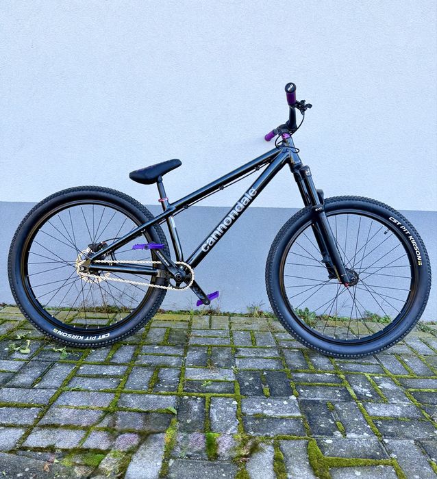 NOWY cannondale dave dirt