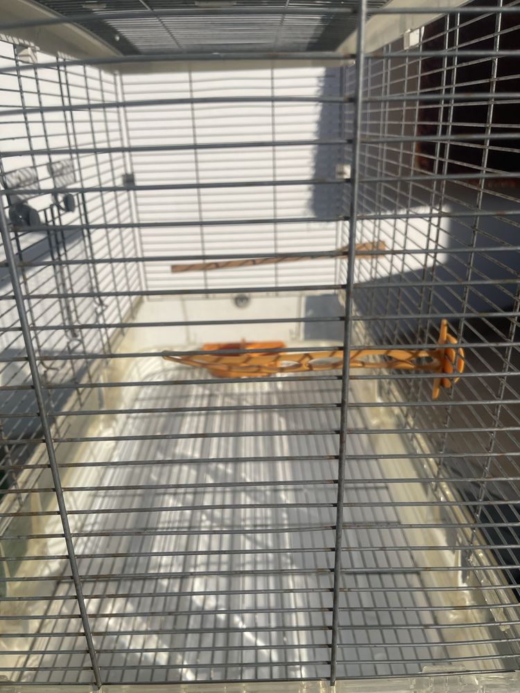 Gaiola para animais