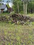 drzewo topola i brzoza 5-6m3 SPRZEDAM!!!
