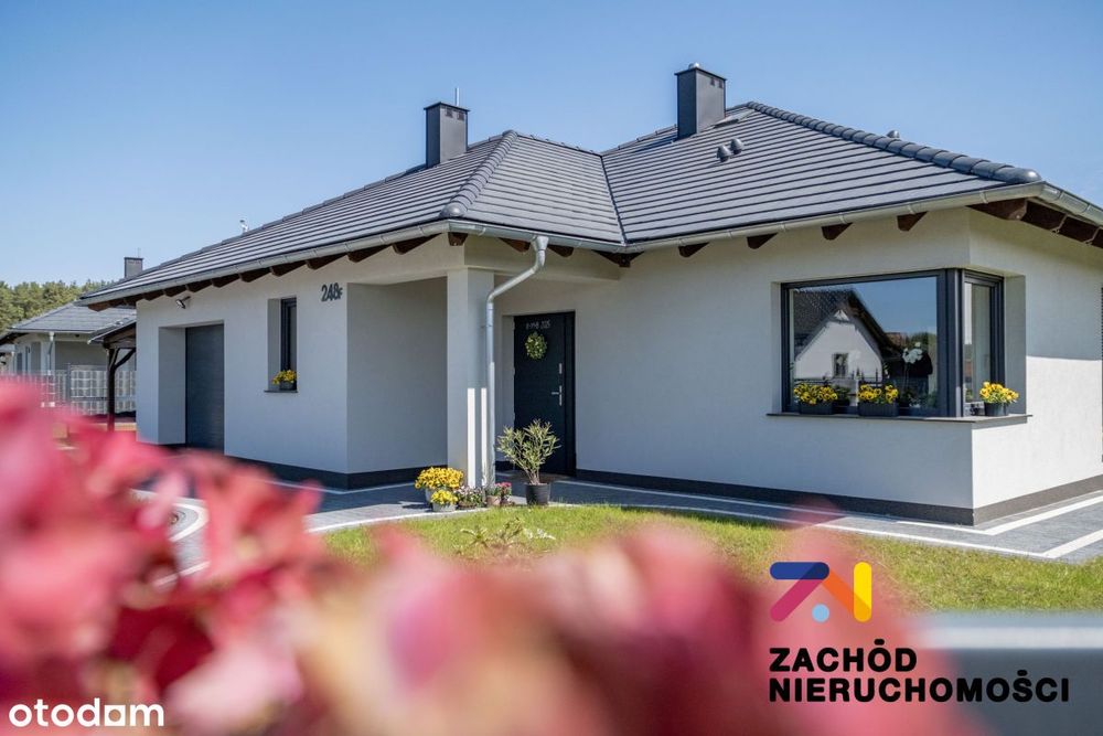 Domy z linia lasu, nowy projekt Agat, Złote