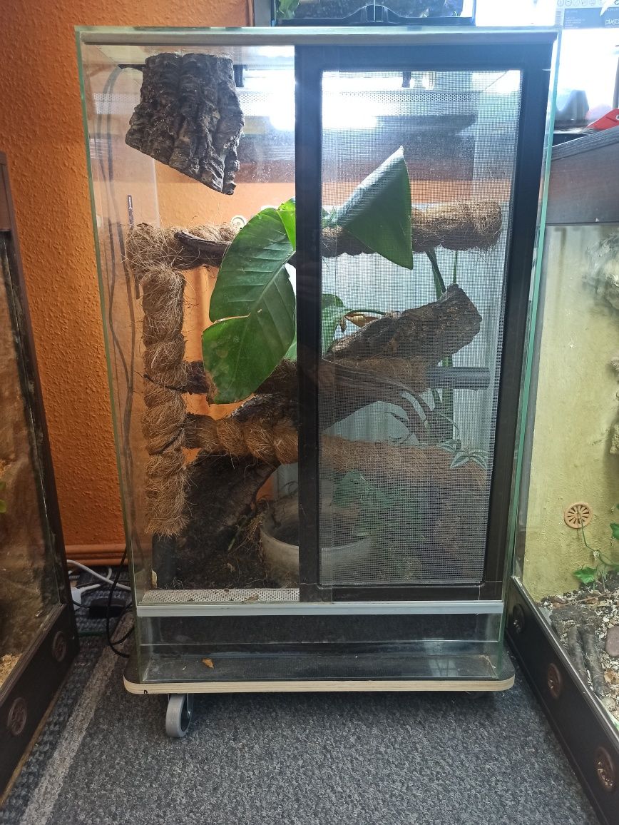 Terrarium szklane