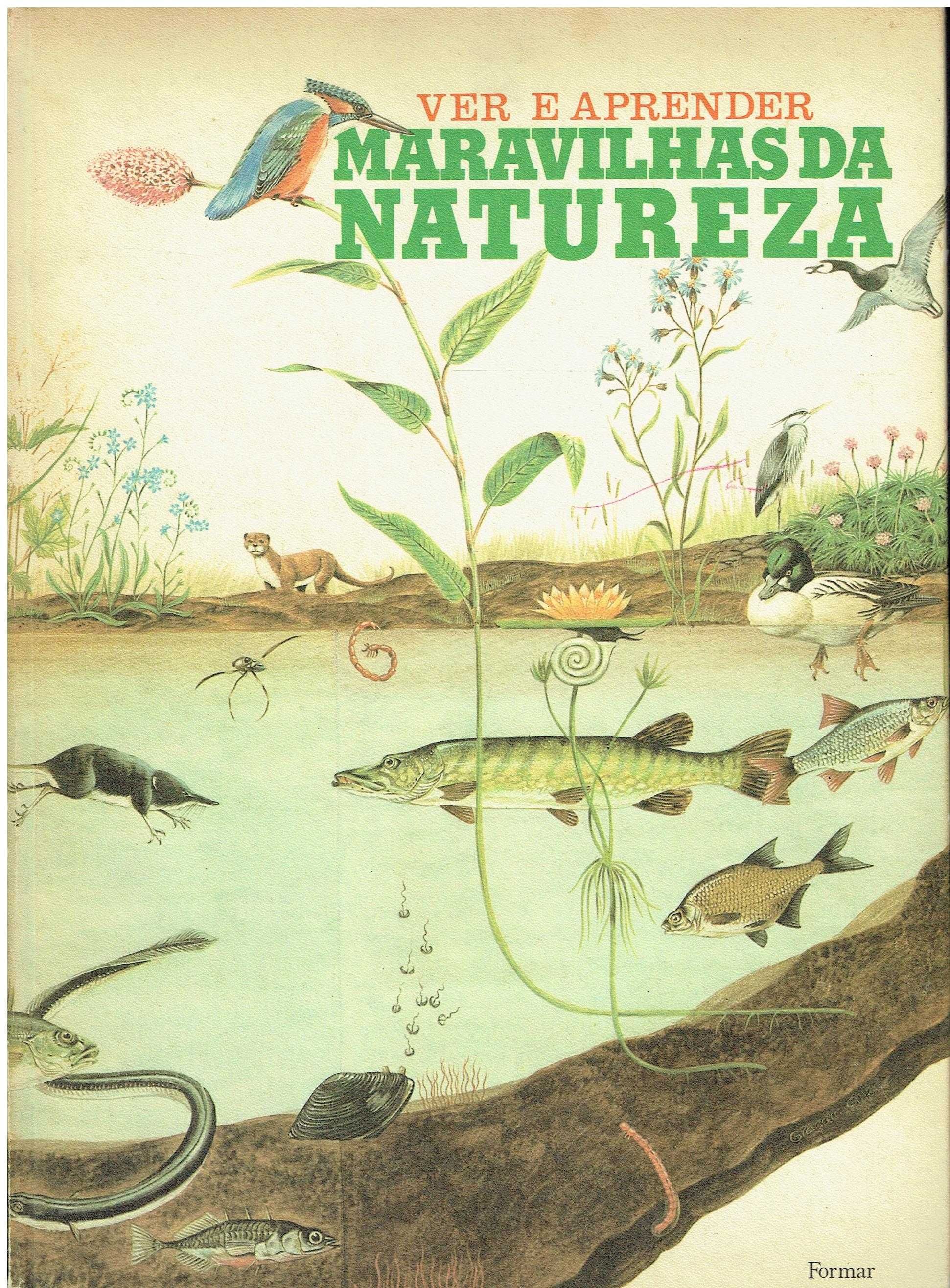 13183

Ver e Aprender Maravilhas da Natureza