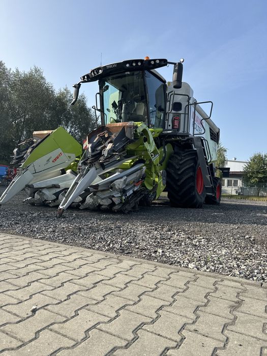 Zbiór kukurydzy Claas Trion 640