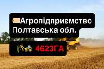 Продаж! Агропідприємство 4623ГА, Полтавська обл.