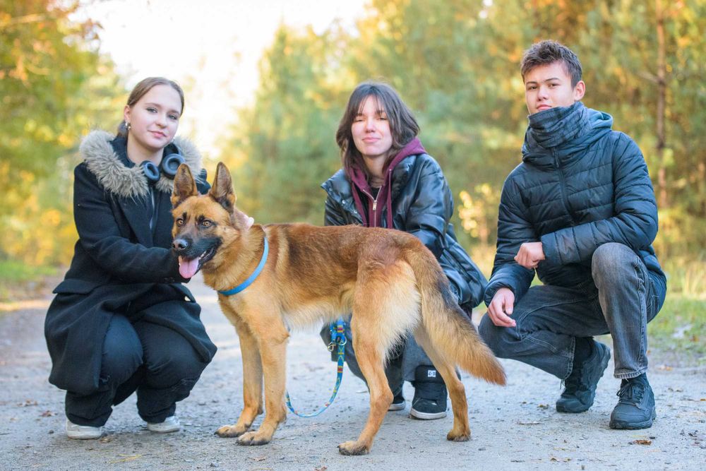 PAKER - wymagający kawaler w typie ON pomieszany z Malinois