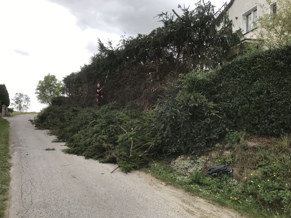 Usługi ogrodnicze wycinka drzew, przycinanie, trawnik glebogryzarka