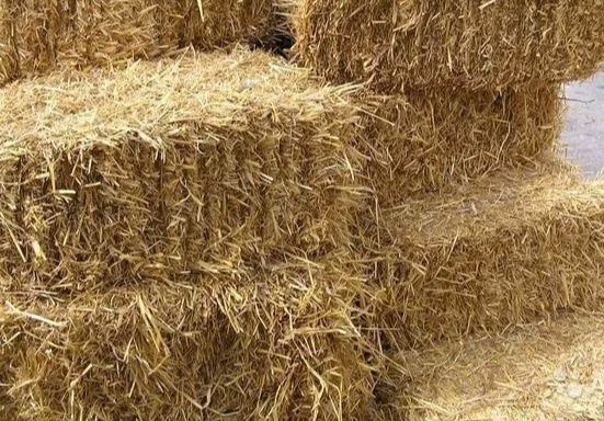 Продам тюки сіна , тюки соломи.