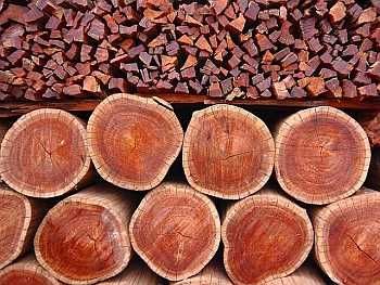 Дрова по супер-цене! Без предоплаты и с быстрой доставкой