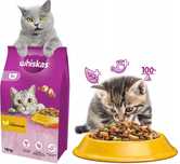 WHISKAS Sucha Kurczak 14kg