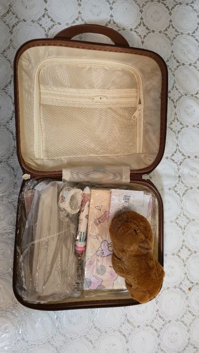 Набір канцелярії Capybara кейс з капібарою, блокноти, наліпки, ручки