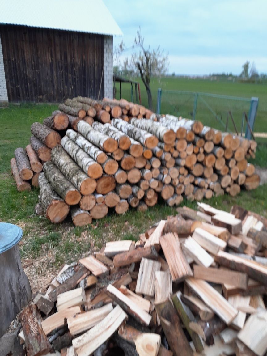 Drewno opałowe 1.2m długość
