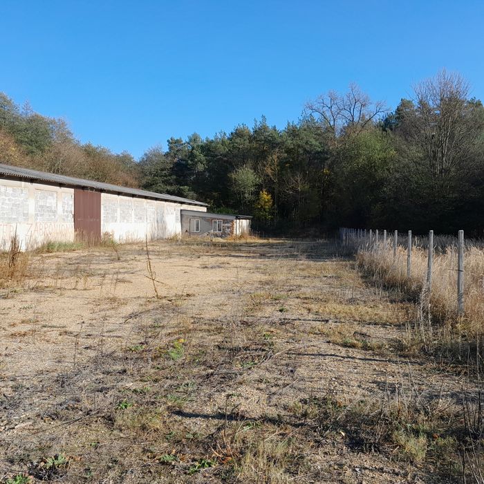 wynajmę magazyn,hale 800 metrów