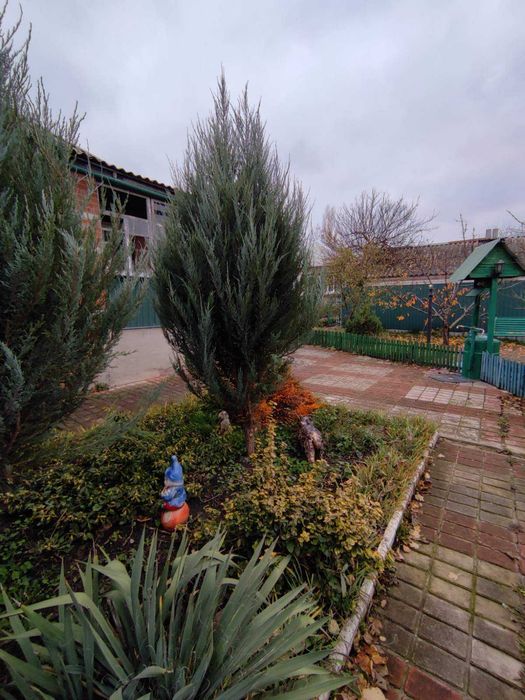 Продам дом Чугуев