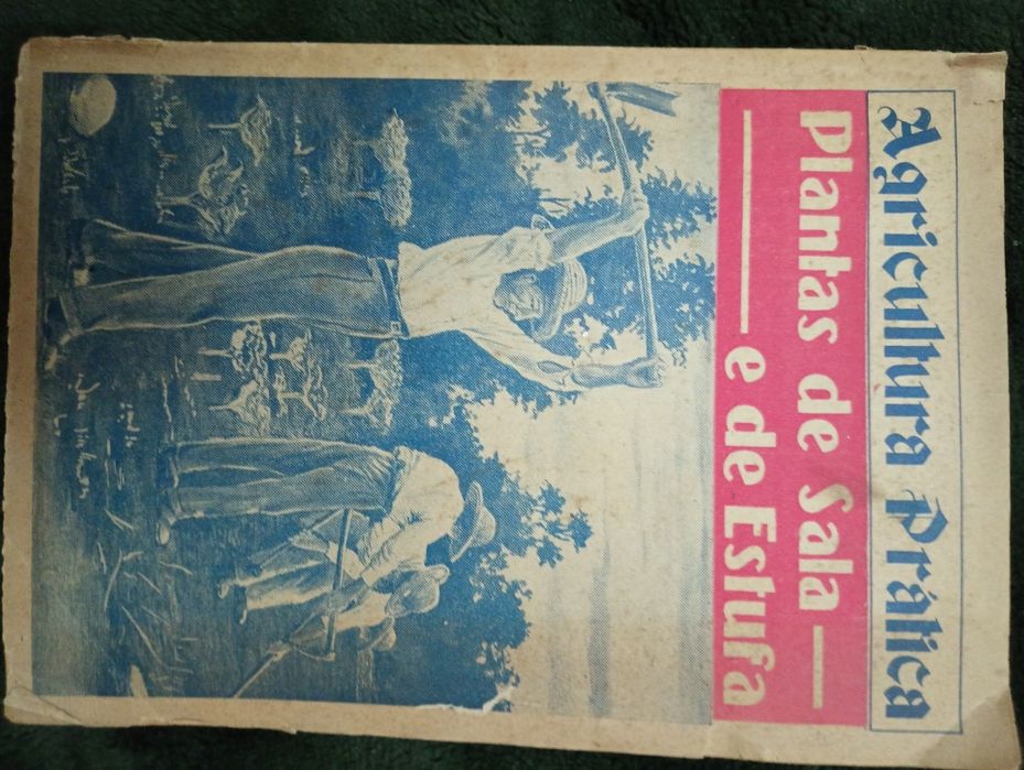 Plantas de Sala e de Estufa-4 Coleção Agricultura Prática -Toledano,