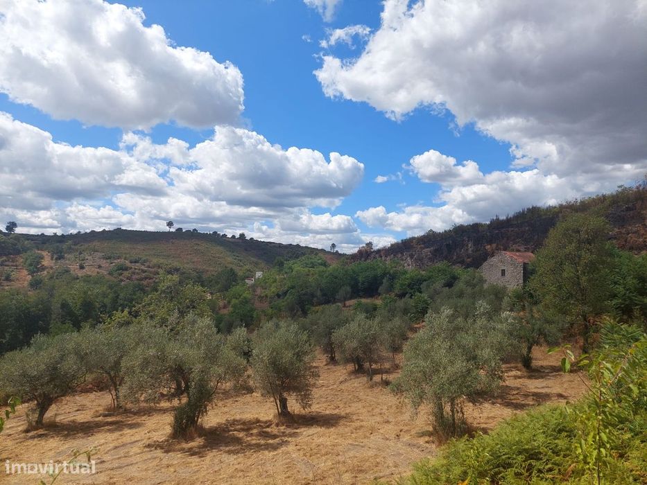 Quintinha  Venda em Figueiró da Serra e Freixo da Serra,Gouveia