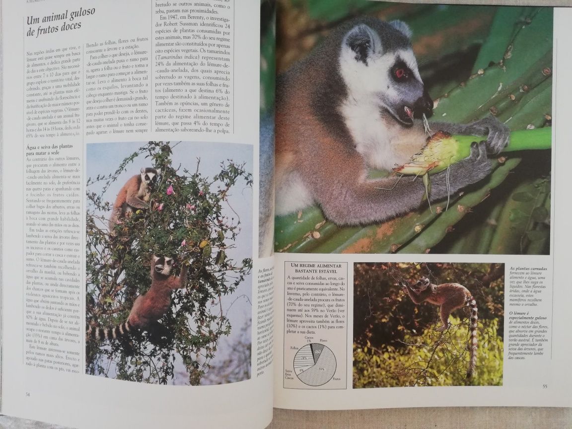 Livros "Animais da Floresta Tropical 1 e 2", Coleção Vida Selvagem