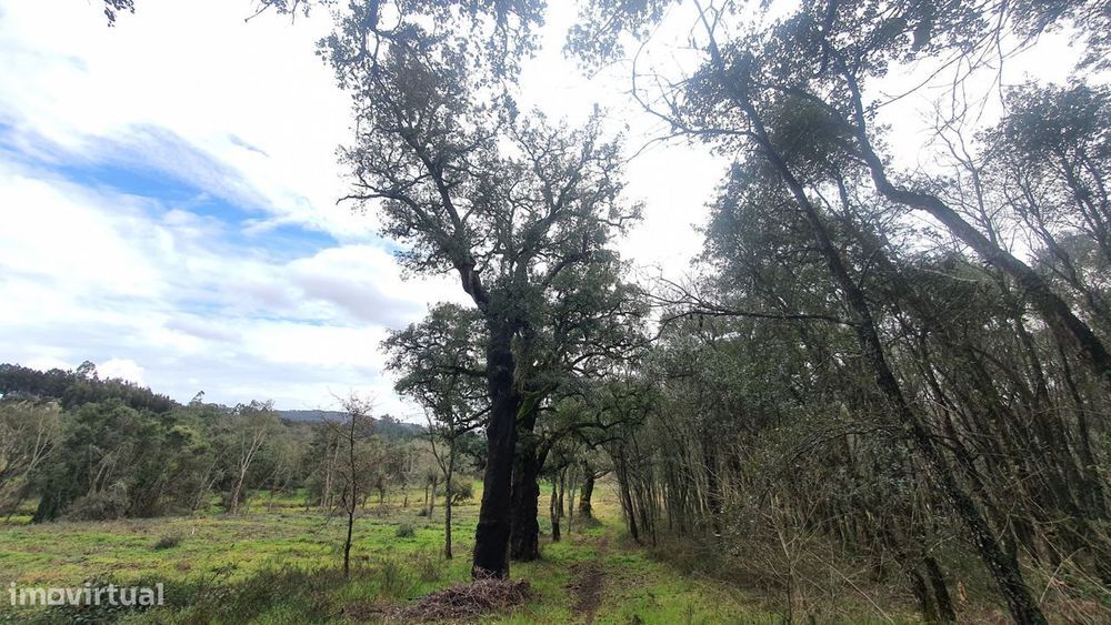 Terreno de 10 hectares com ribeiras e parte urbana