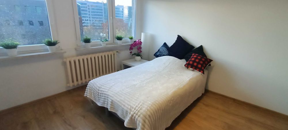 Oddam pilnie materac dwuosobowy