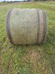 Bele siana 120x130