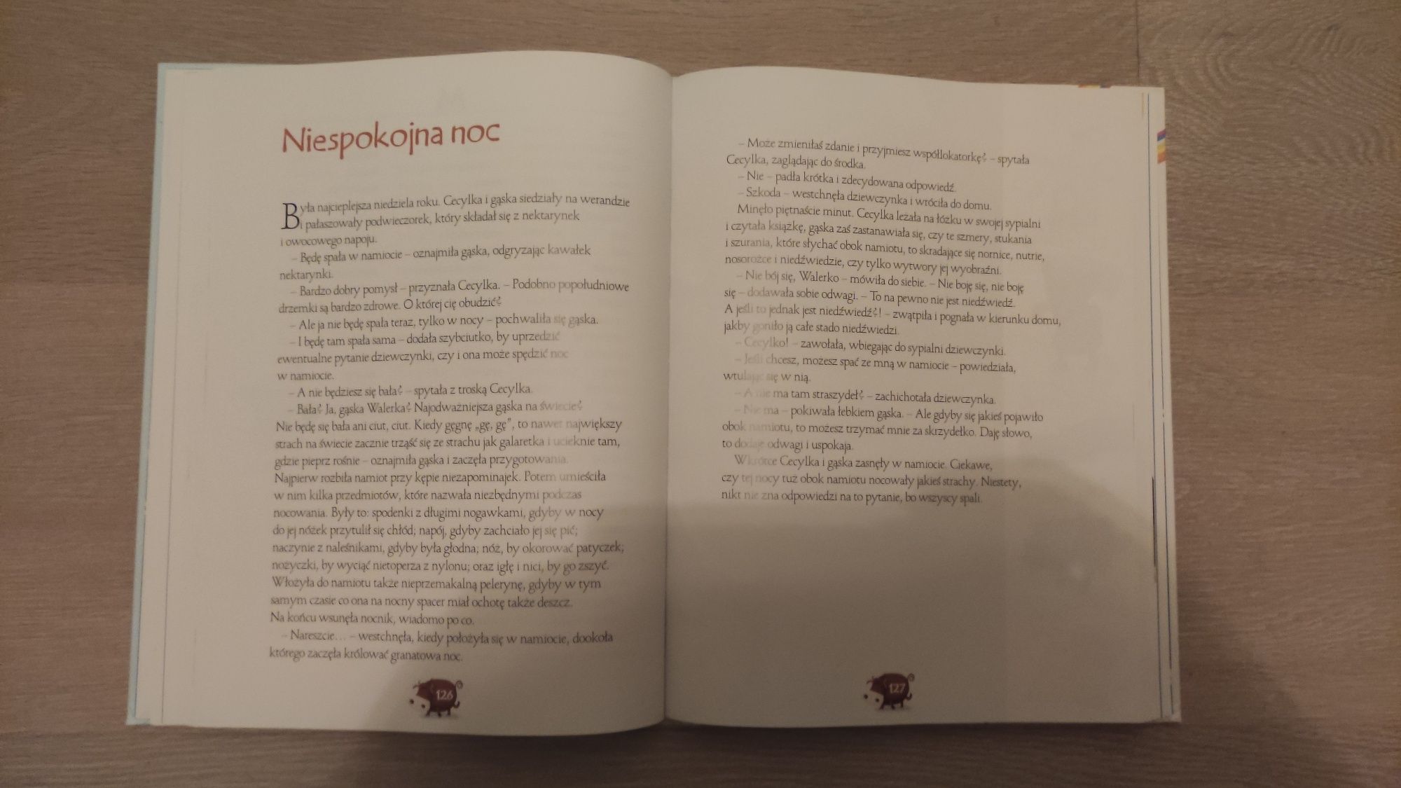 Książka słownik dla dzieci "Słowniczek ortograficzny"