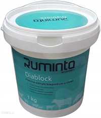 Ruminta DIABLOCK na biegunkę  1kg, 100g