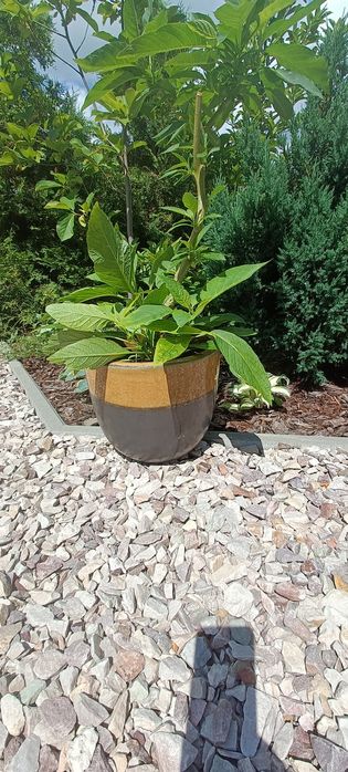 Donica ceramiczna szkliwiona