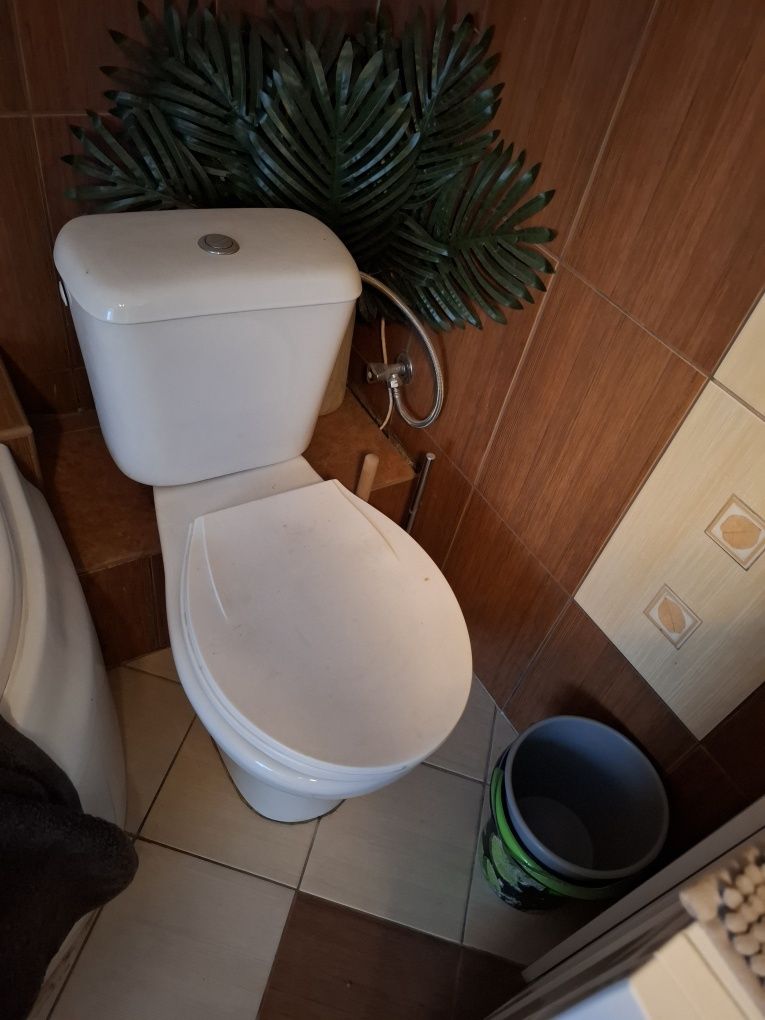 WC Kompakt kolor bialy