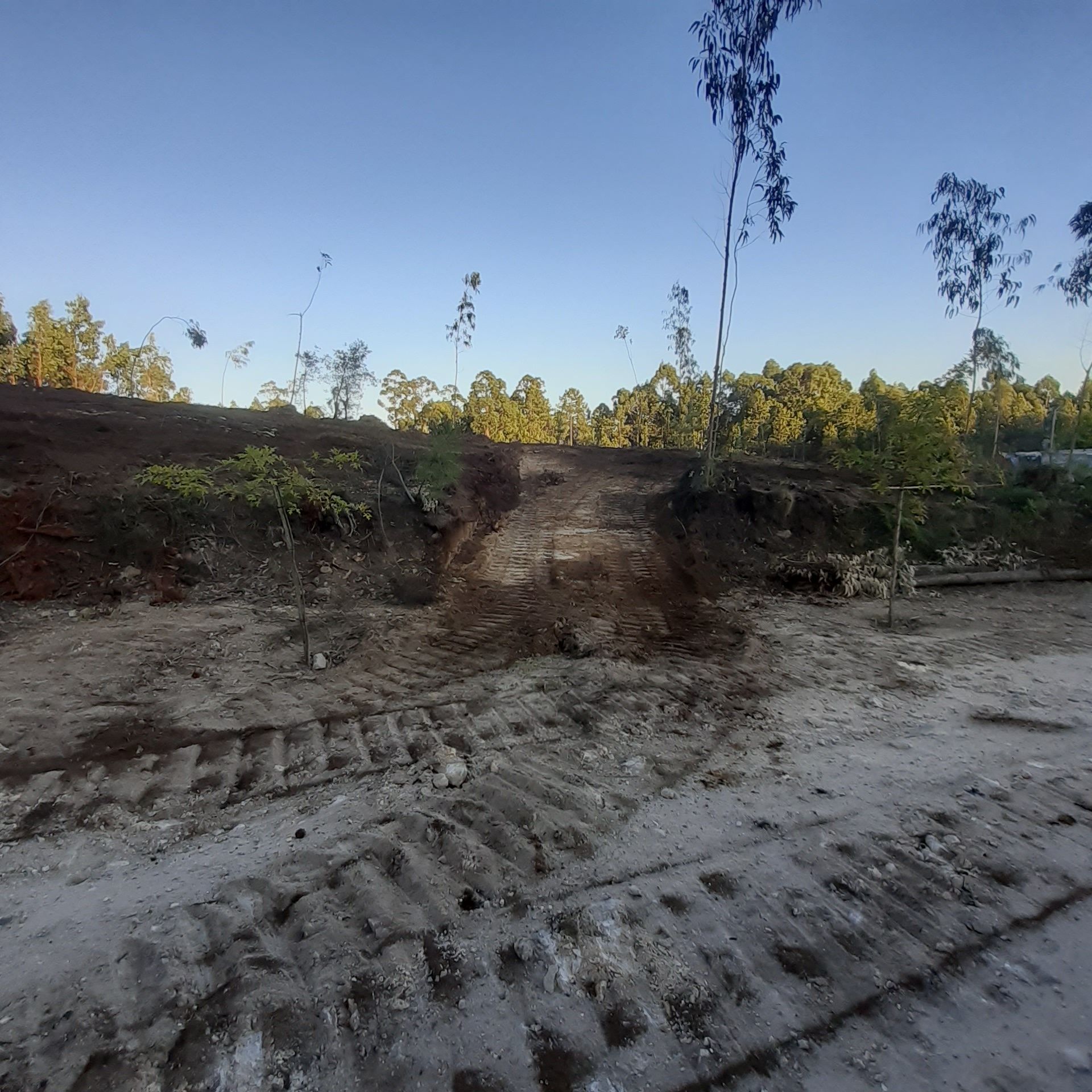 Terreno de construção para venda em Vila cova perto de Esposende