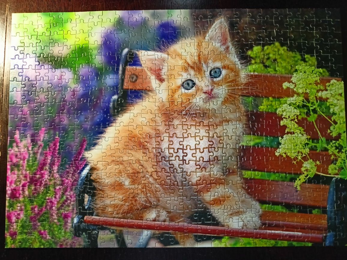 Puzzle Castorland 500 elementów Ginger Kitten (Rudy kotek)