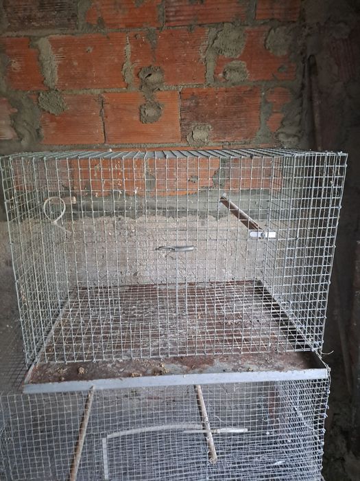 Varias gaiolas para dispensar